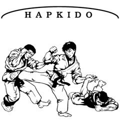 HAPKİDO TEKNİKLERİ HAPKİDO TEKNİKLERİ