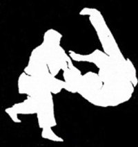 Hapkido nedir ? Hapkido nedir ?