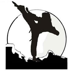 Taekwondo  nedir ?
